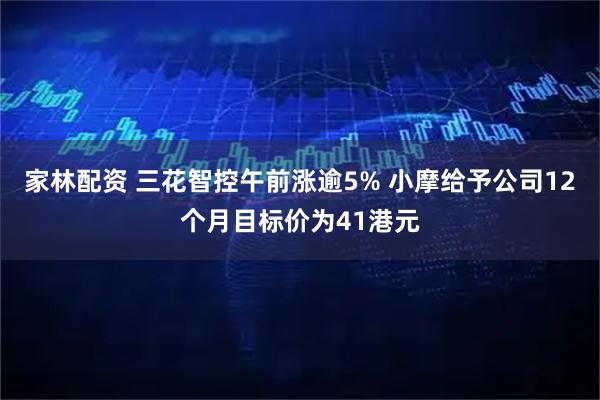 家林配资 三花智控午前涨逾5% 小摩给予公司12个月目标价为41港元