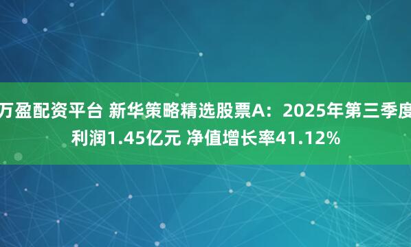 万盈配资平台 新华策略精选股票A：2025年第三季度利润1.45亿元 净值增长率41.12%