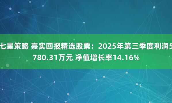 七星策略 嘉实回报精选股票：2025年第三季度利润5780.31万元 净值增长率14.16%