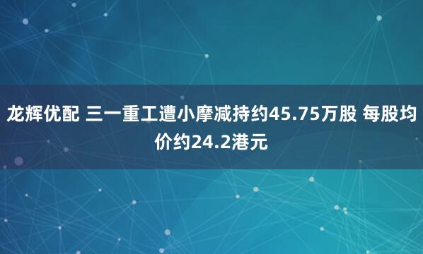龙辉优配 三一重工遭小摩减持约45.75万股 每股均价约24.2港元