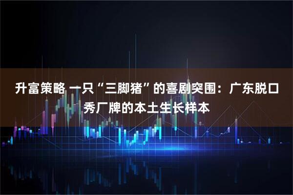 升富策略 一只“三脚猪”的喜剧突围：广东脱口秀厂牌的本土生长样本
