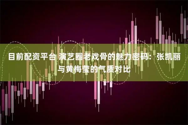 目前配资平台 演艺圈老戏骨的魅力密码：张凯丽与黄梅莹的气质对比