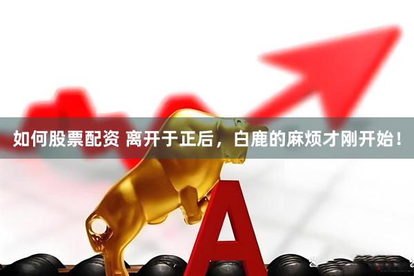 如何股票配资 离开于正后，白鹿的麻烦才刚开始！